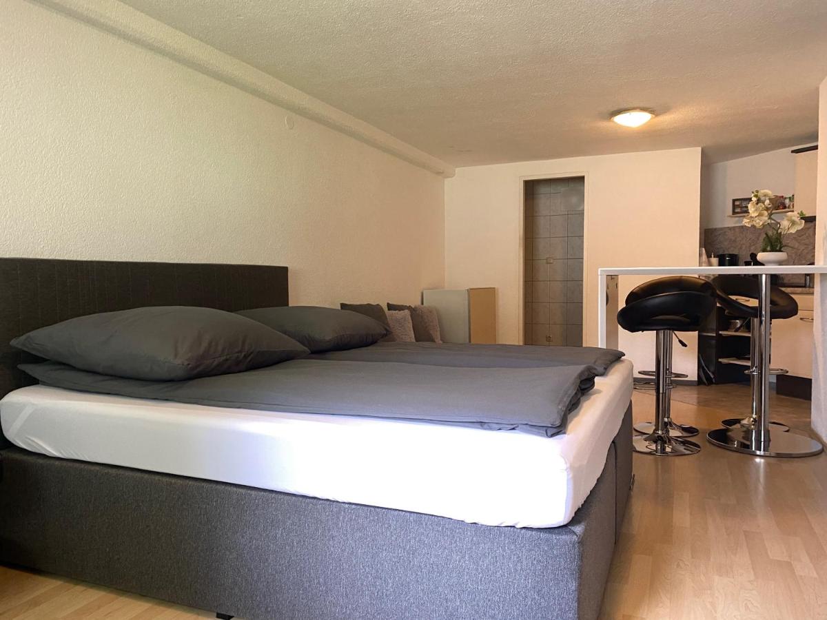 Studio with Sofa Bed