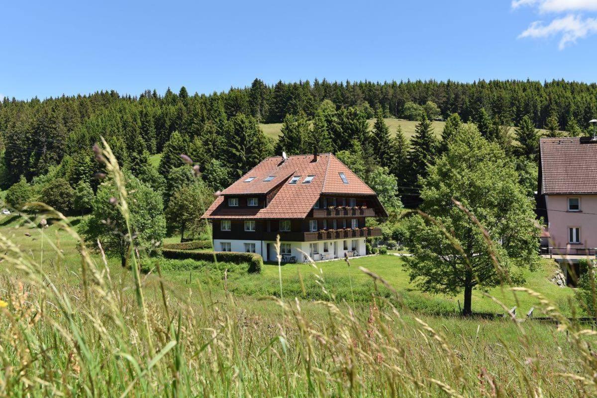 B&B Schluchsee - Hotel Hirschen - Bed and Breakfast Schluchsee