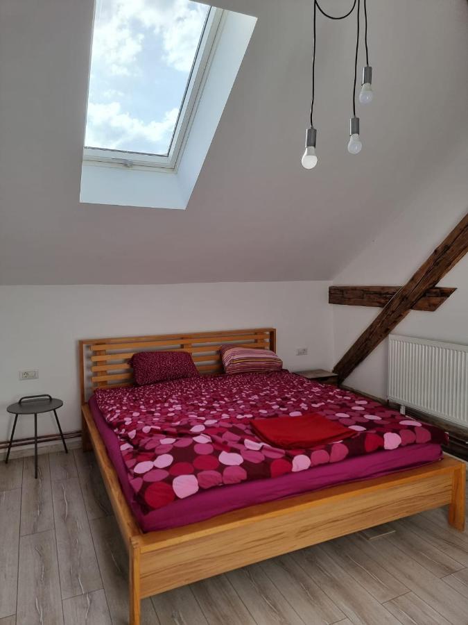Apartament spatios in centru - B&B