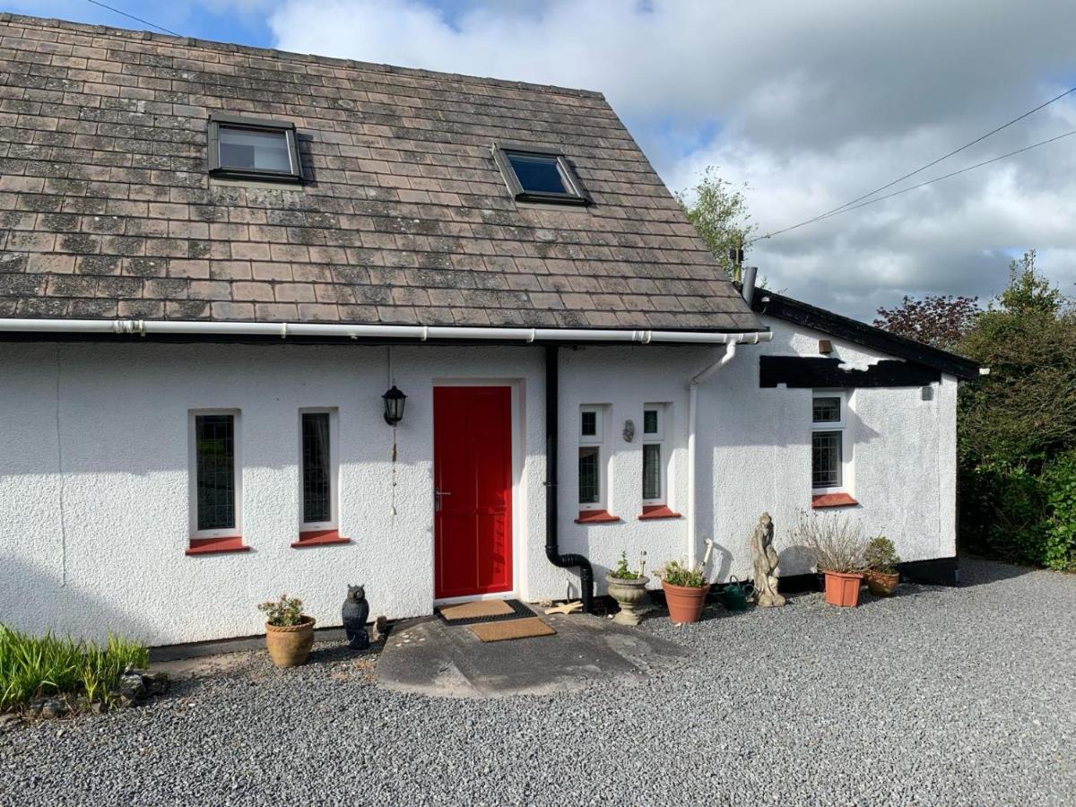 B&B Carmarthen - Barn Owl Cottage, The Welsh Reindeer Retreat, Ystradfach Farm , Llandyfaelog, Carmarthen , SA17 5NY - Bed and Breakfast Carmarthen