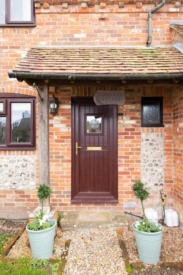 Cosy Cottage in Beautiful South Downs Walk 2 Pub - Ferienwohnung