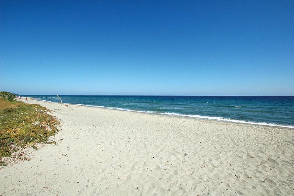 Rez de Jardin Piscine et Plage - Ferienwohnung