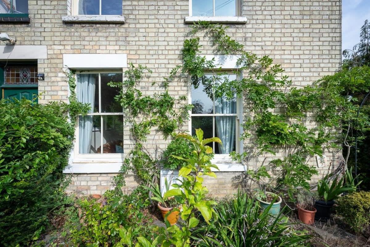 Peaceful Oasis 3 Beds House with Garden and Parking - B&B