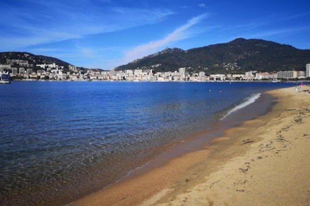 Lumineux et cosy F3 vue mer - B&B Ajaccio