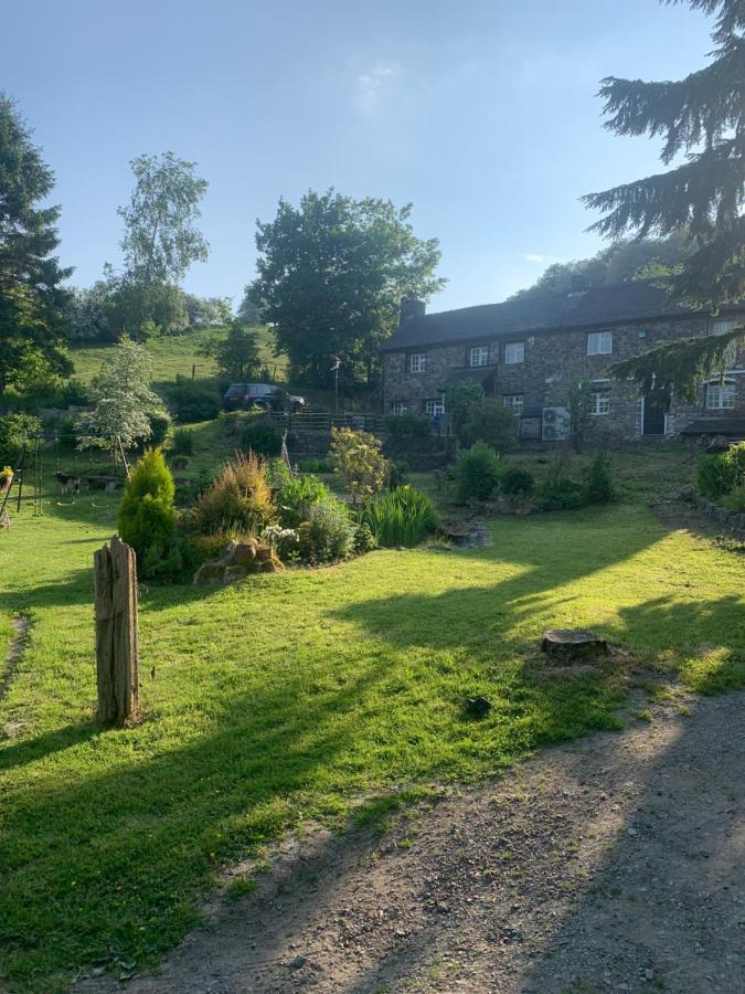 B&B Llanfyllin - Pant-y-creolen - Bed and Breakfast Llanfyllin