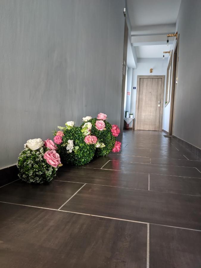 Aristo Central Apartments - B&B Giannina