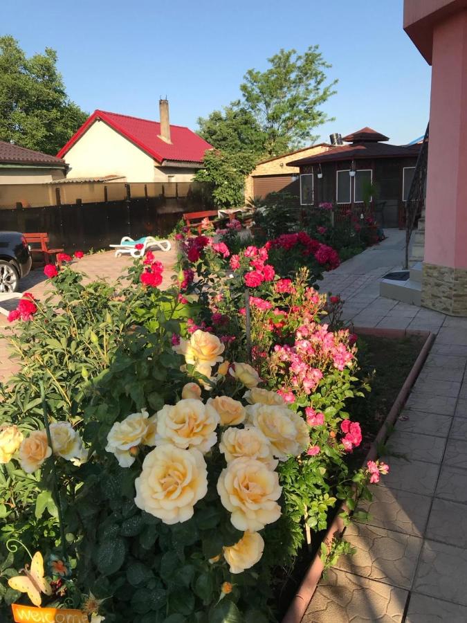 Casa Croitoru - B&B Mangalia
