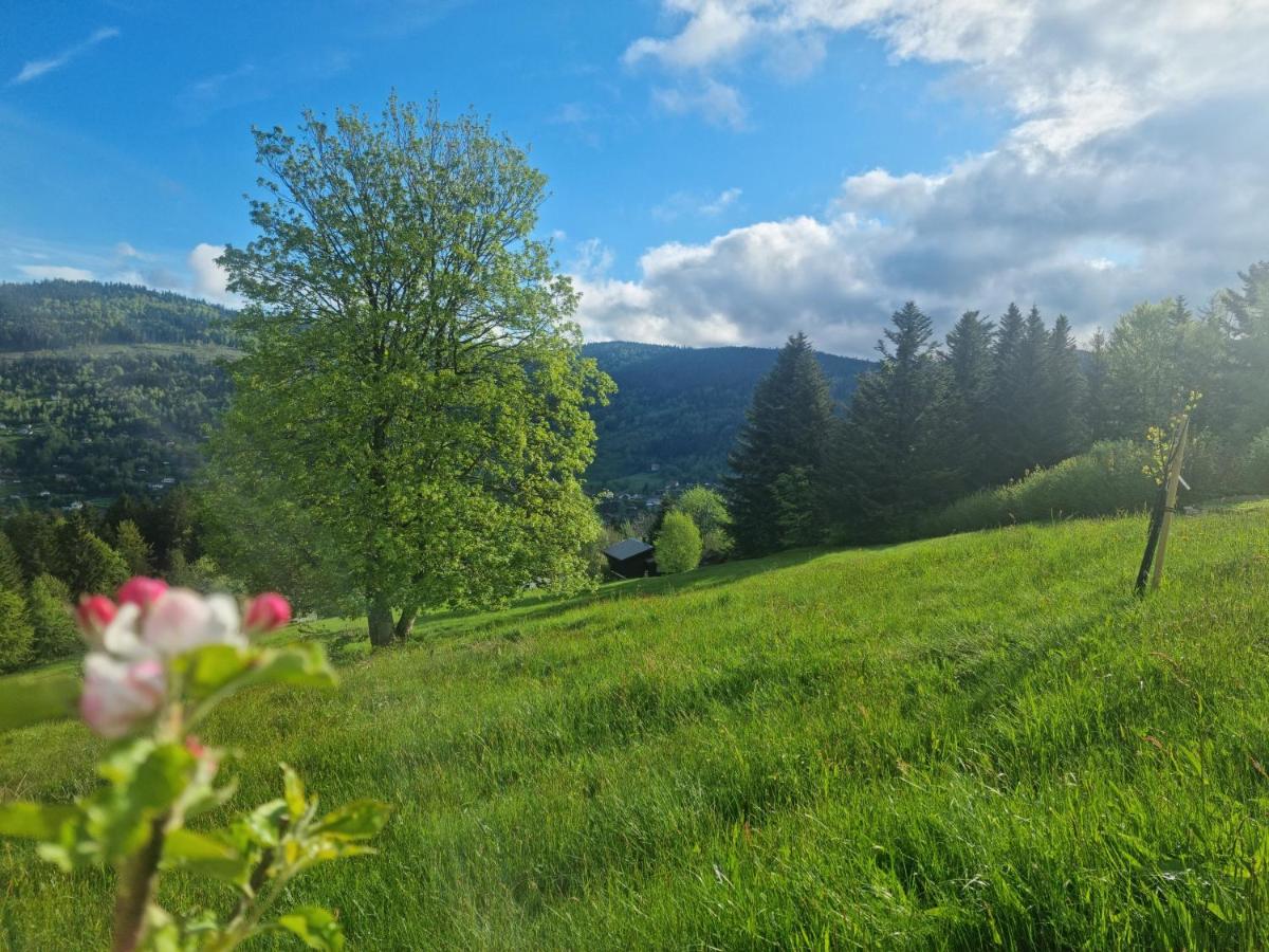 Suite with Mountain View