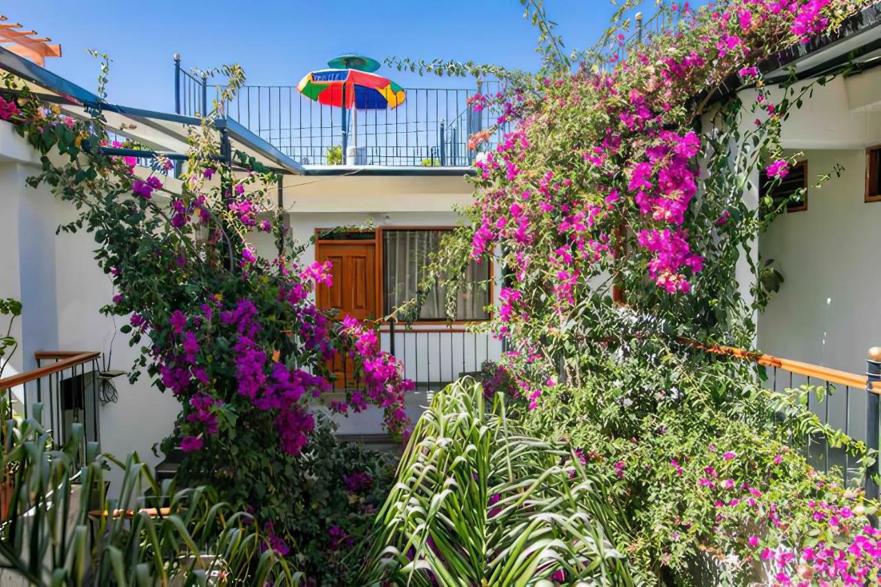 Casa El Errante - B&B