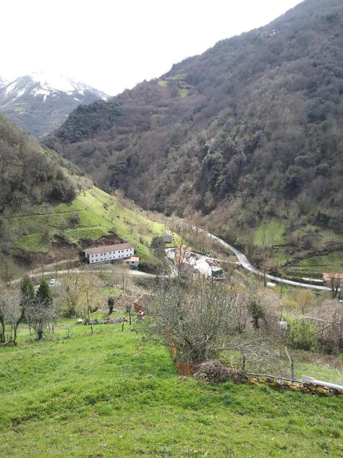 OSO3 - B&B Pola de Somiedo