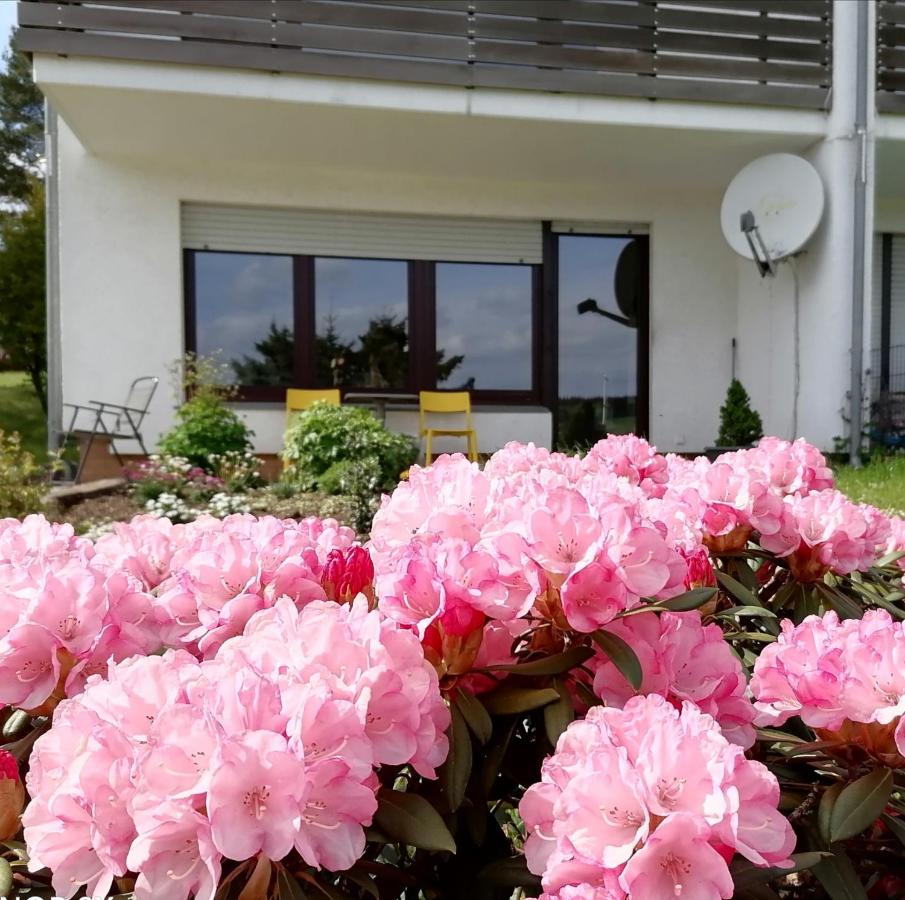 Fewo Silberborn - Weserbergland (Fam. Oehler) - B&B