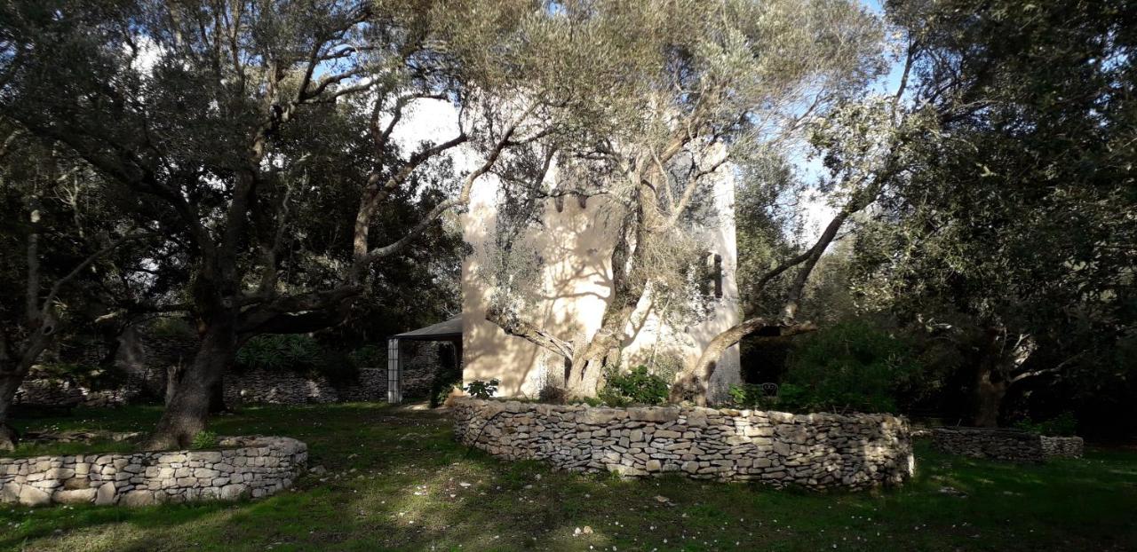 tour casella - B&B Bonifacio