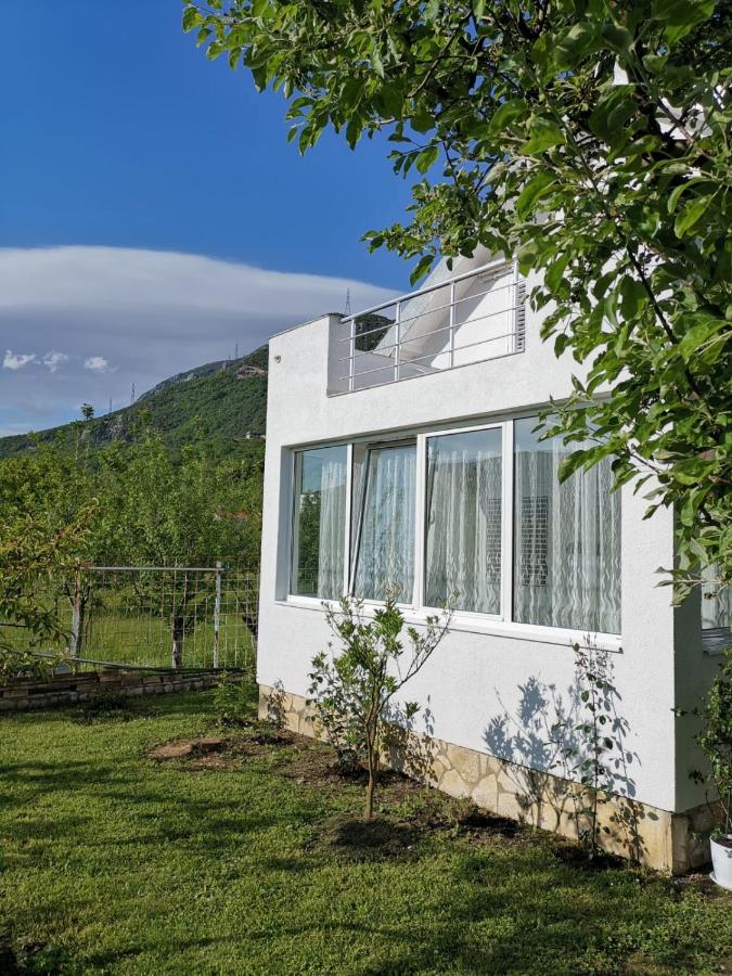 Schmidt - B&B Lastva