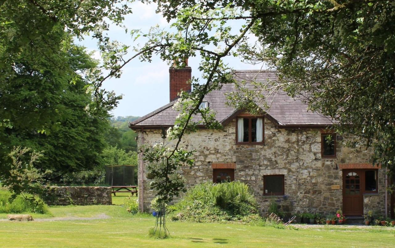 B&B Llanfallteg - David's Organic Farm Wales - Bed and Breakfast Llanfallteg