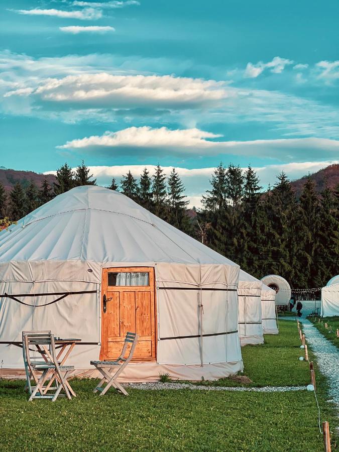 Glamping Iurte Mongole Spiritul Zimbrului - B&B