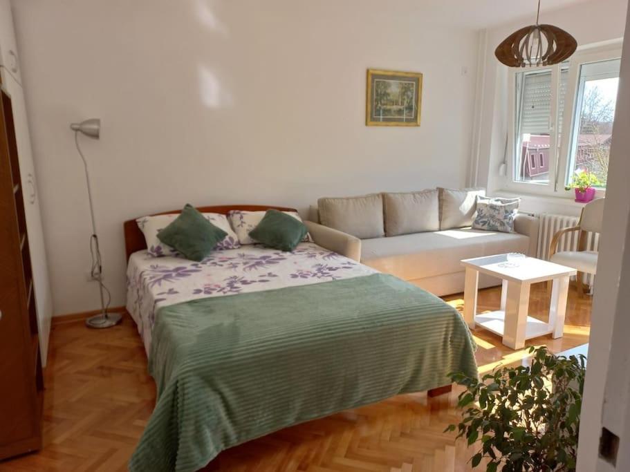 B&B Belgrade - Apartment Lea - Bed and Breakfast Belgrade