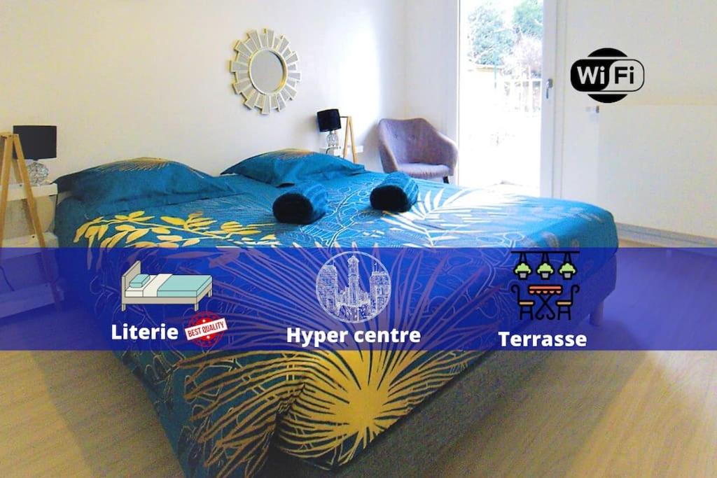 Le city F2 centre-ville - B&B Saint-Louis