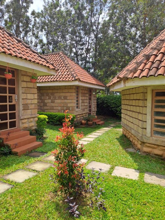 Od Kidi Cottages - B&B