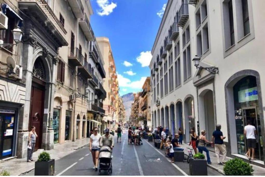 Shell Maqueda - B&B Palermo