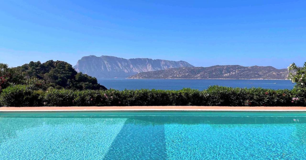 PUNTA EST QUADRILOCALE TERRAZZA FAVOLOSA VISTA MARE - Chambres d’hôtes Capo Coda Cavallo