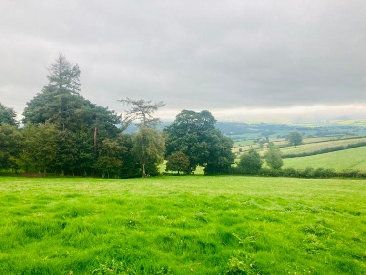 Luxury Stargazing Glamping - Seren Aur with Hot Tub - Bed and Breakfast