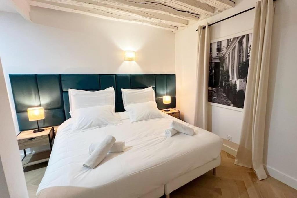 Magnificient Parisian Flat - Parisian heart - B&B