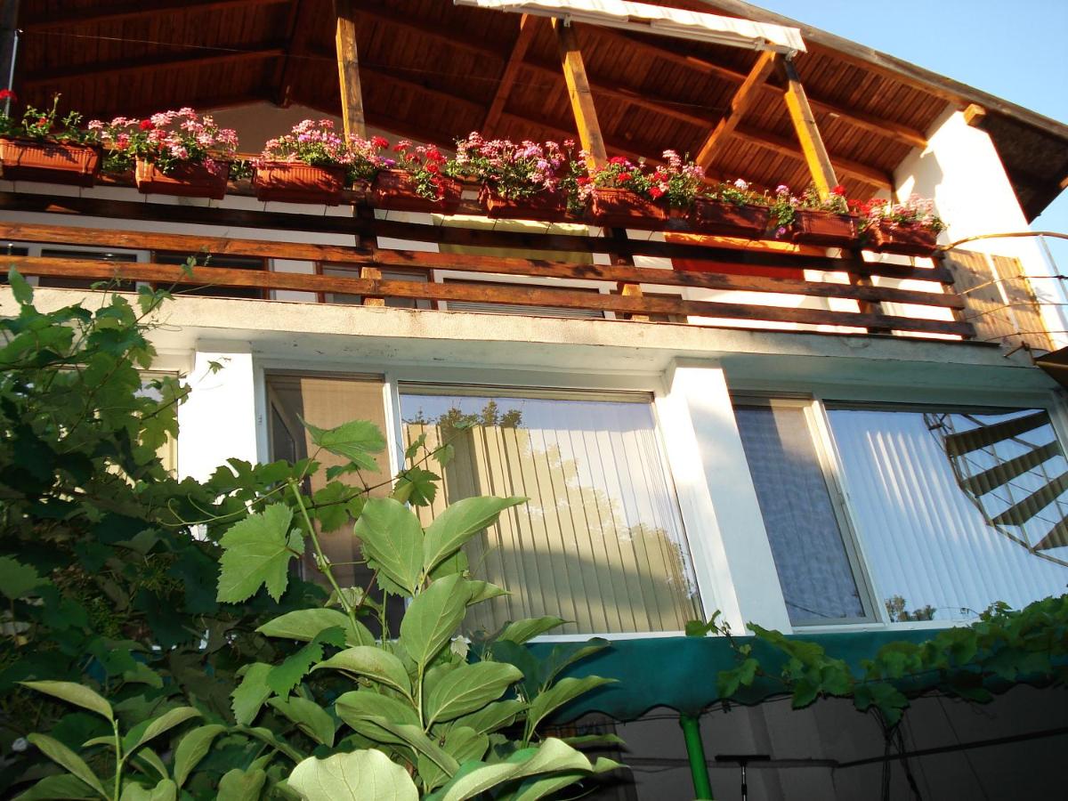 Villa Exotica - Chambres d’hôtes