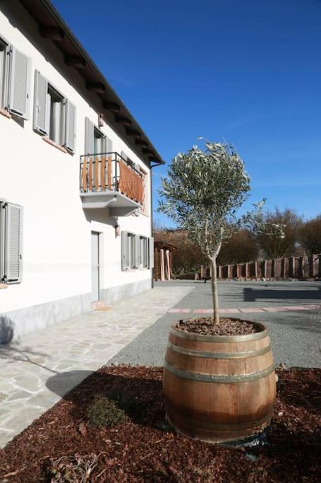 Residenza nella natura, idromassaggio, Wi-fi e Ac - Bed and Breakfast