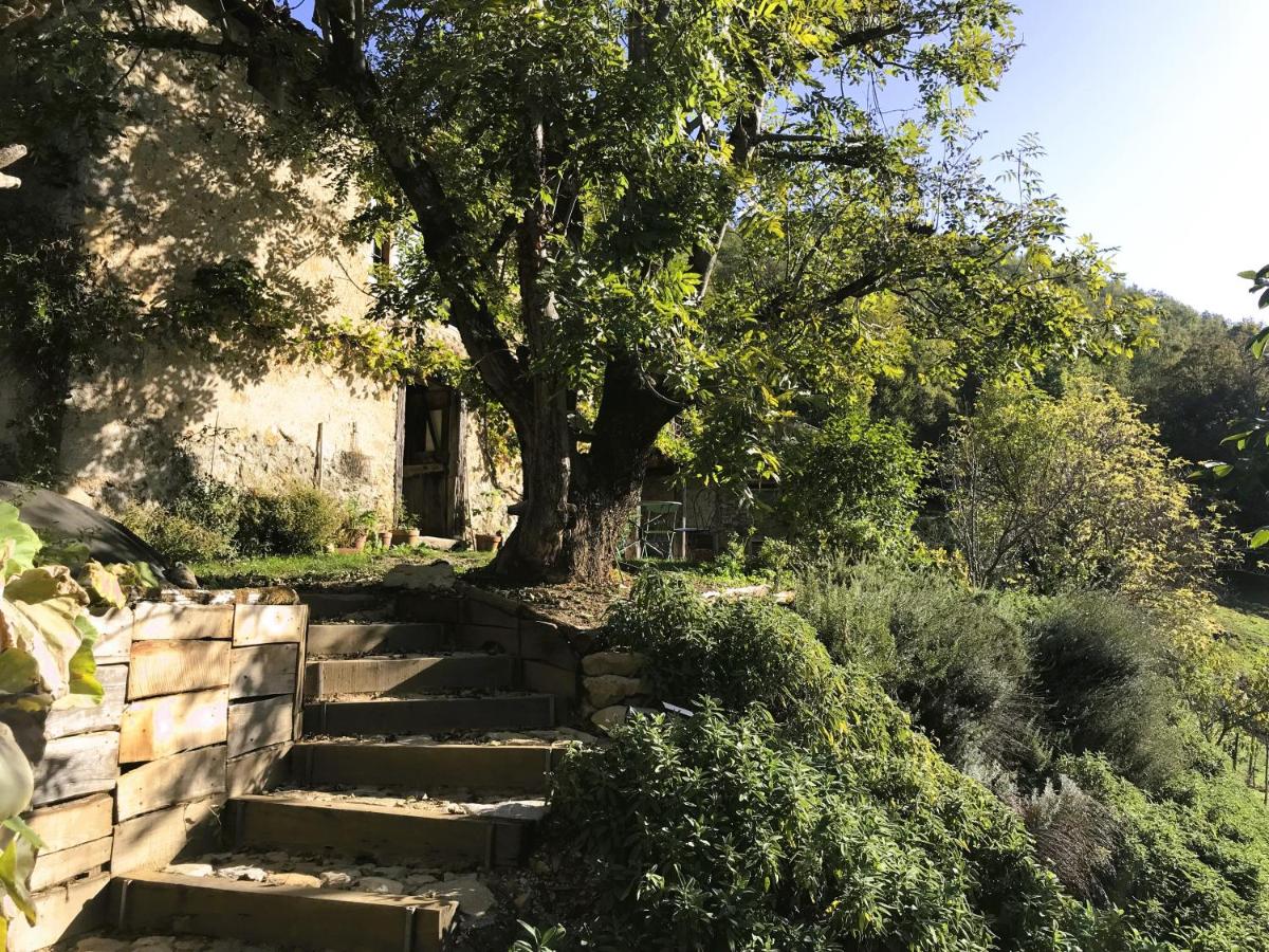 ASPET Ancienne étable - Bed and Breakfast