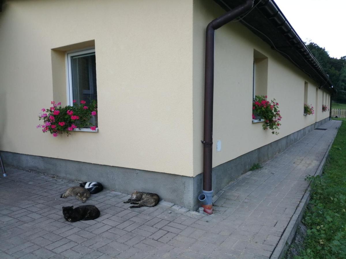 Oddychový pobyt na rodinnej farme - Bed and Breakfast