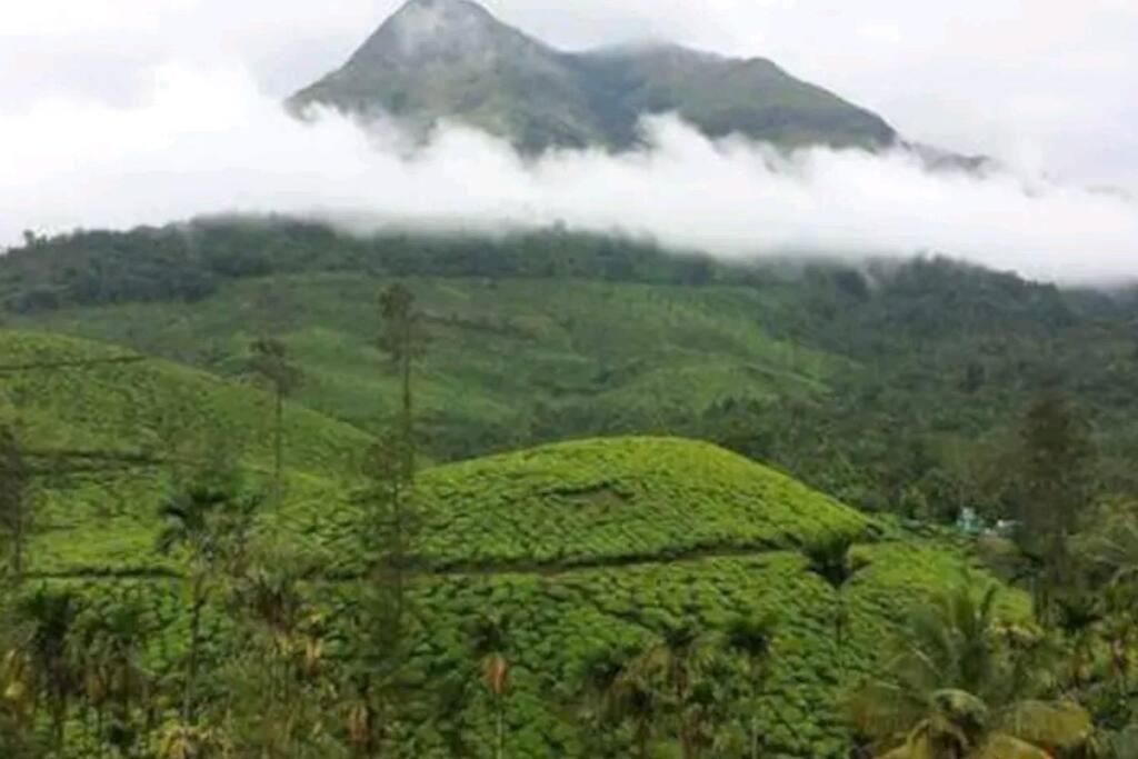 B&B Meppādi - 1 Bhk Peak View Villa Wayanad - Bed and Breakfast Meppādi