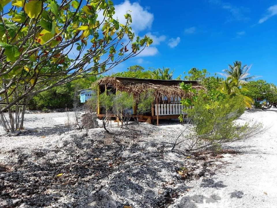 Bungalow - Frente al agua 