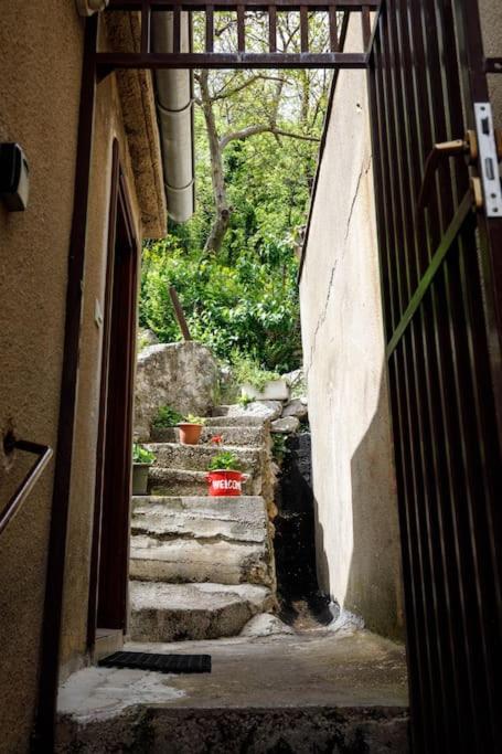 Apartment Old Town - Bambo - B&B