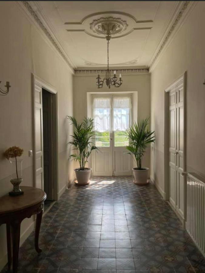 Monte Vinea - Ferienwohnung