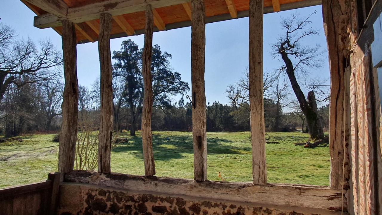 Magnifique ferme landaise 12 couchages - B&B