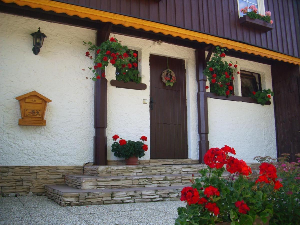 Apartment Herlikovice - B&B