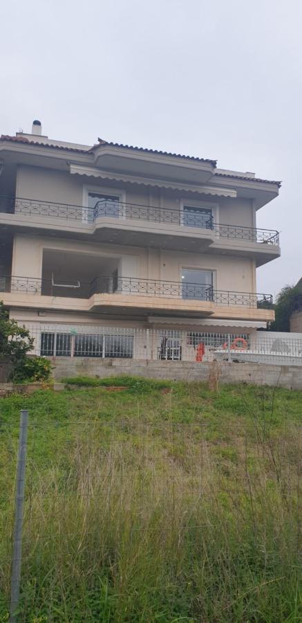 Filoxenia apartment - Chambres d’hôtes Artémida