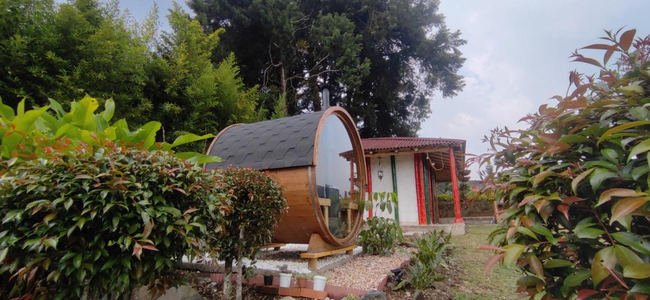 Cabaña Eje Cafetero, Sauna terapéutico - B&B