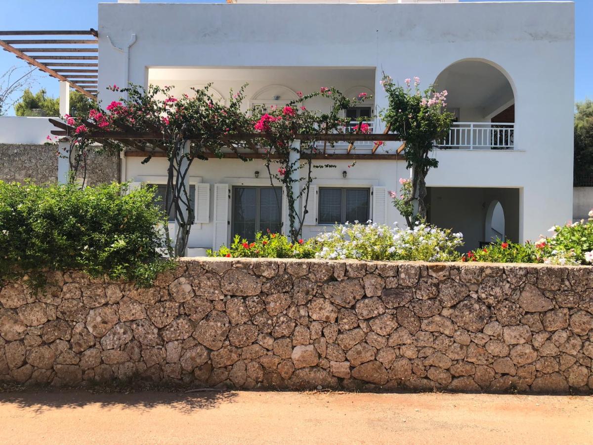 Villa Alexandros - B&B