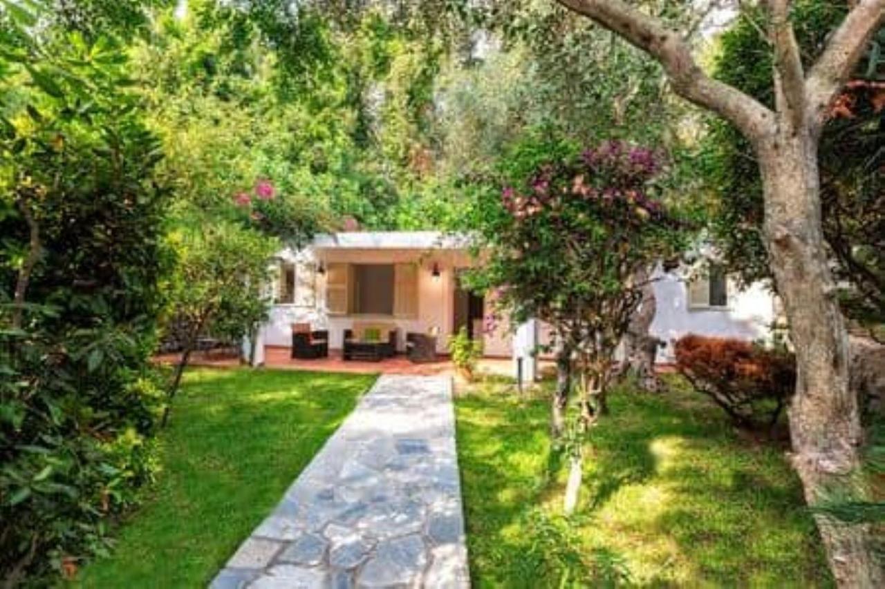 Ischia-Forio-Punta Caruso-La Grille du coq-villa 2 il prezzo della villa è riferito all'intero alloggio con il limite delle persone previste n 4 - Chambres d'hôtes Forio