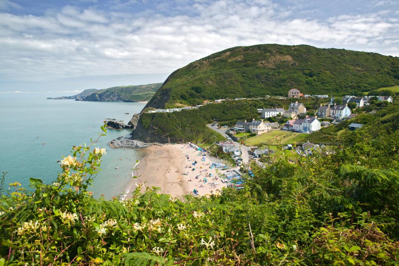 Brigydon Tresaith - B&B Penbryn