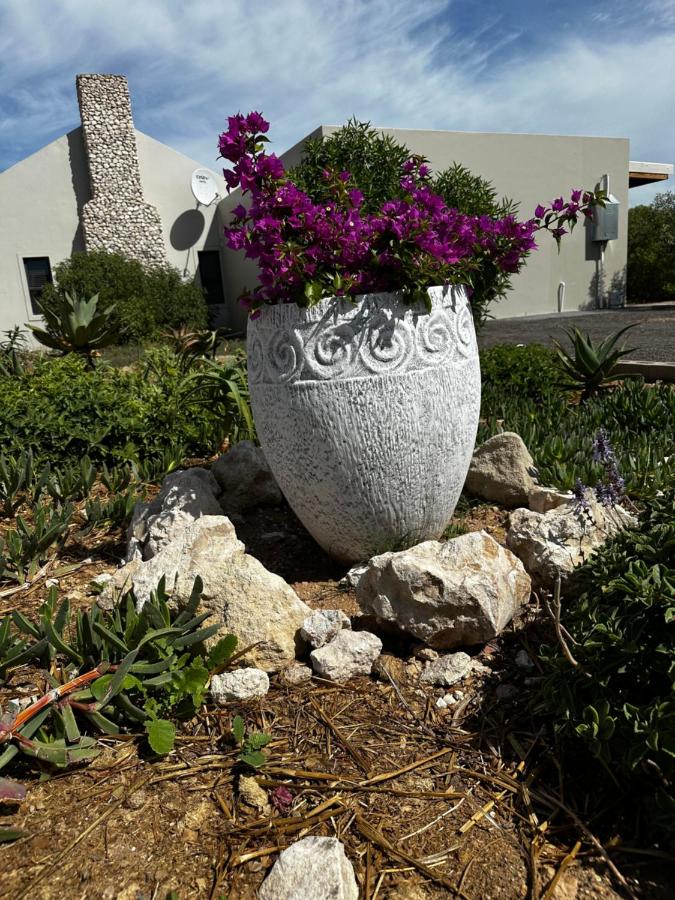 Villiera Guest Farm - Chambres d’hôtes