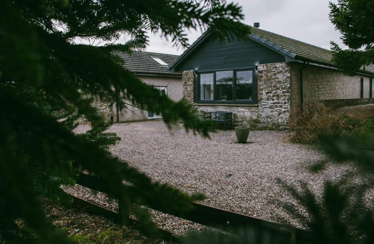 The Cosy Coo Shed - Chambres d’hôtes Forfar