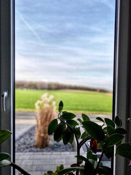 Schöne 1-Zimmer Wohnung mit Boxspringbett & Küche - B&B Mechernich