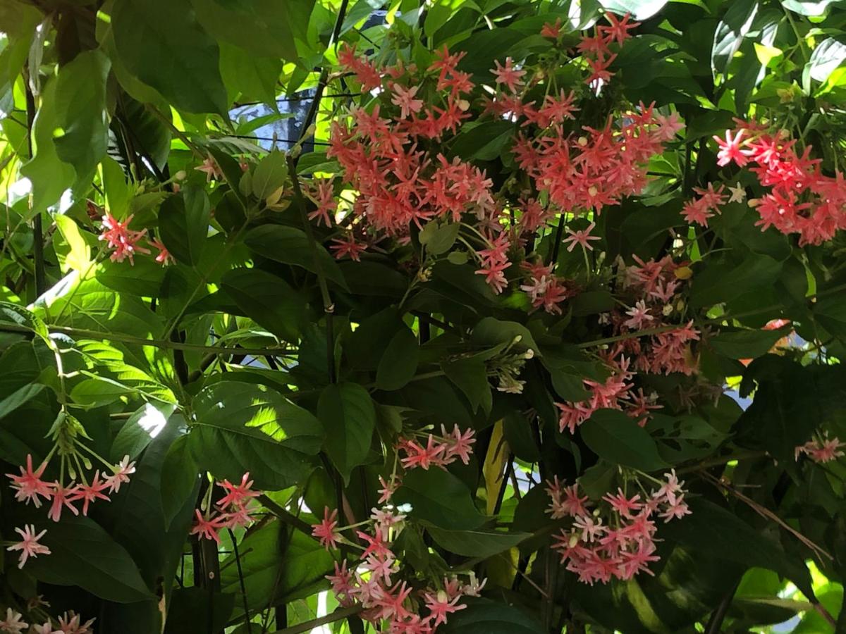 Homestay Mia Diệu Nhàn Phú Quốc - B&B Koh Trol