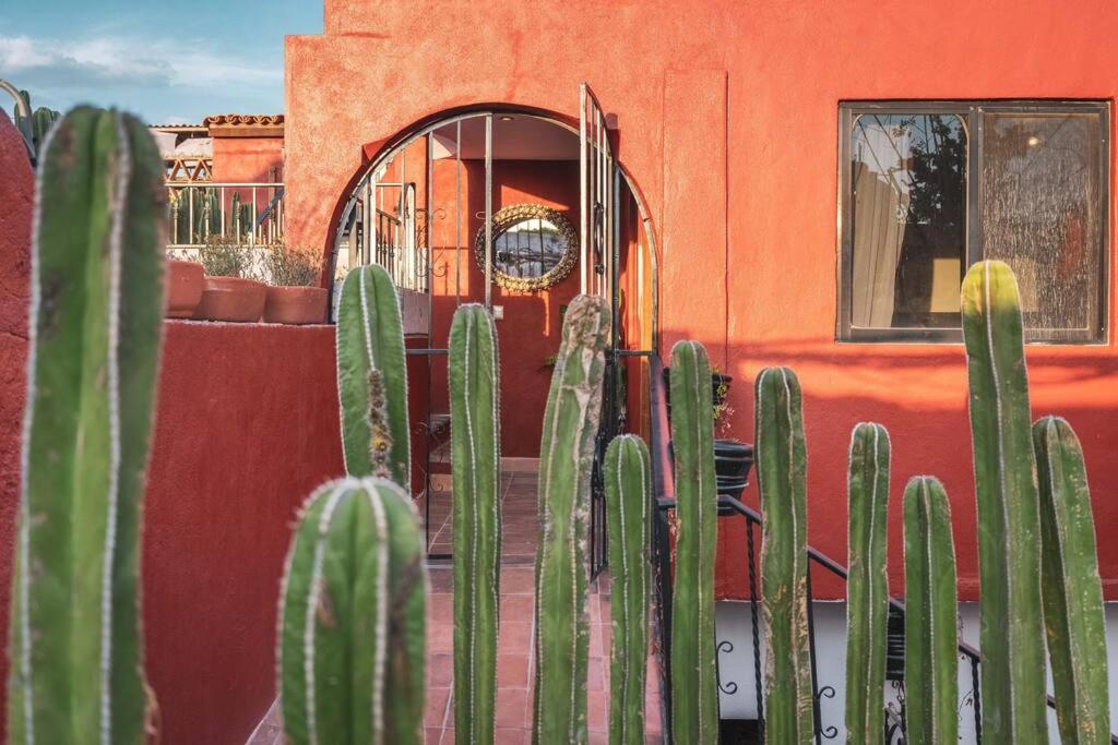 Lovely house at the heart of San Miguel - Chambres d'hôtes San Miguel de Allende