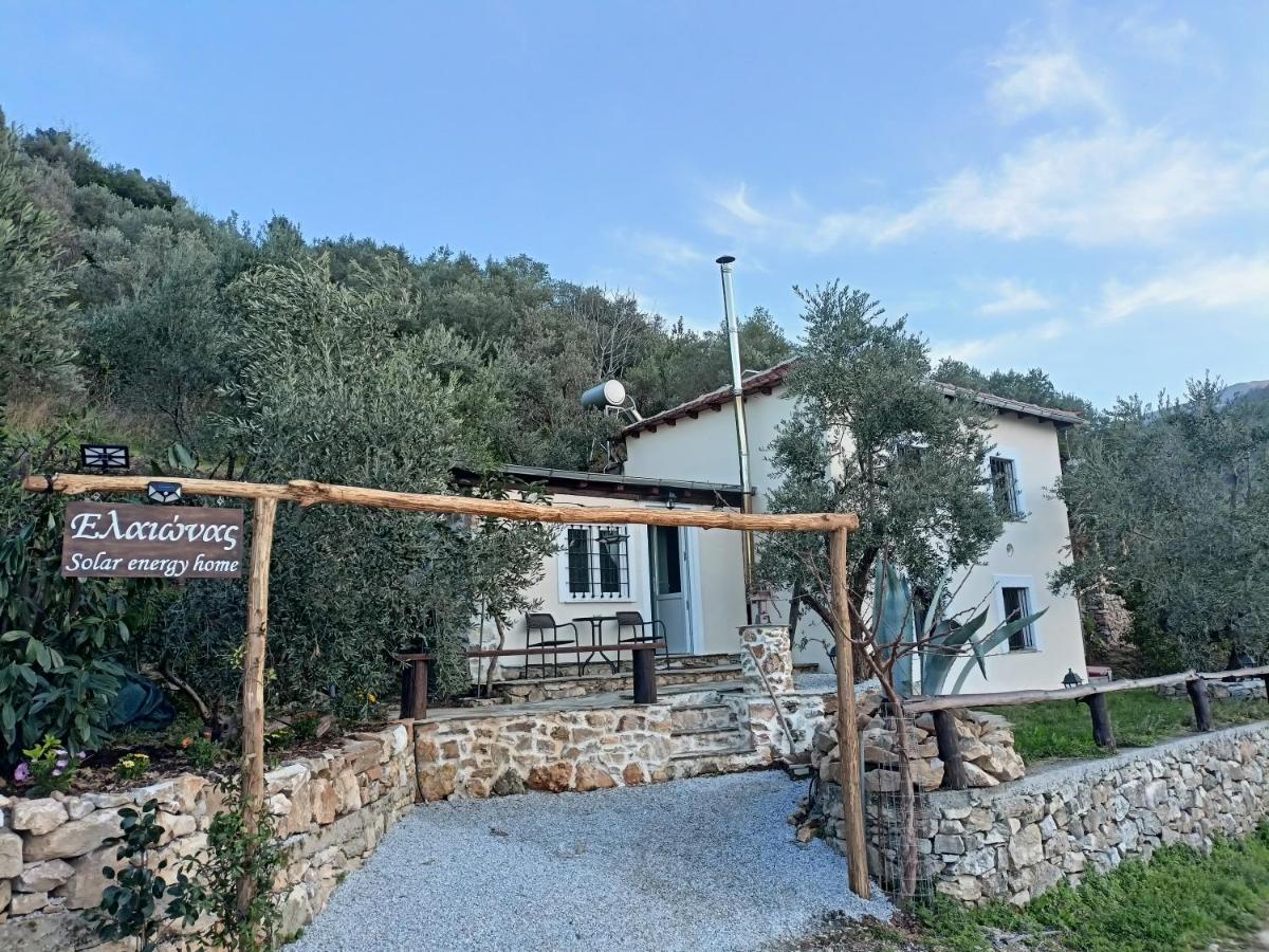 Ελαιώνας - Solar Energy House - B&B Choreftó