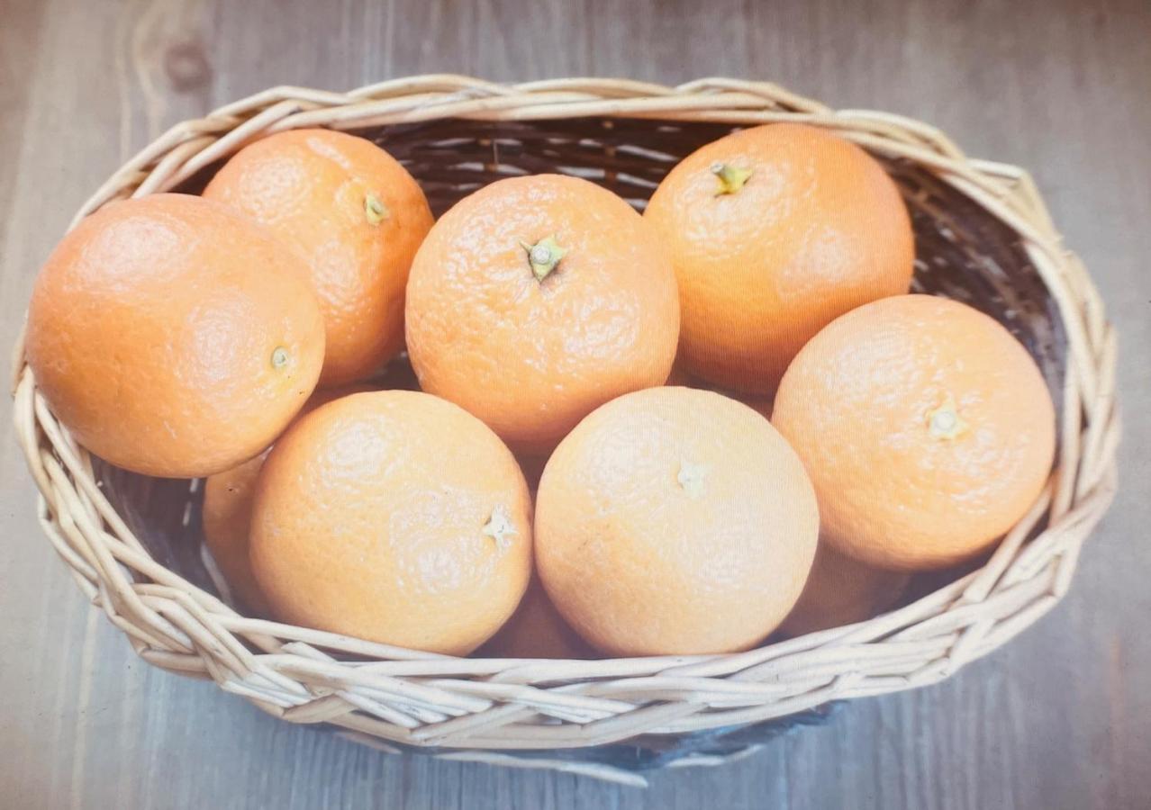 Hola Cathedral House Porta di Castro - B&B Palermo