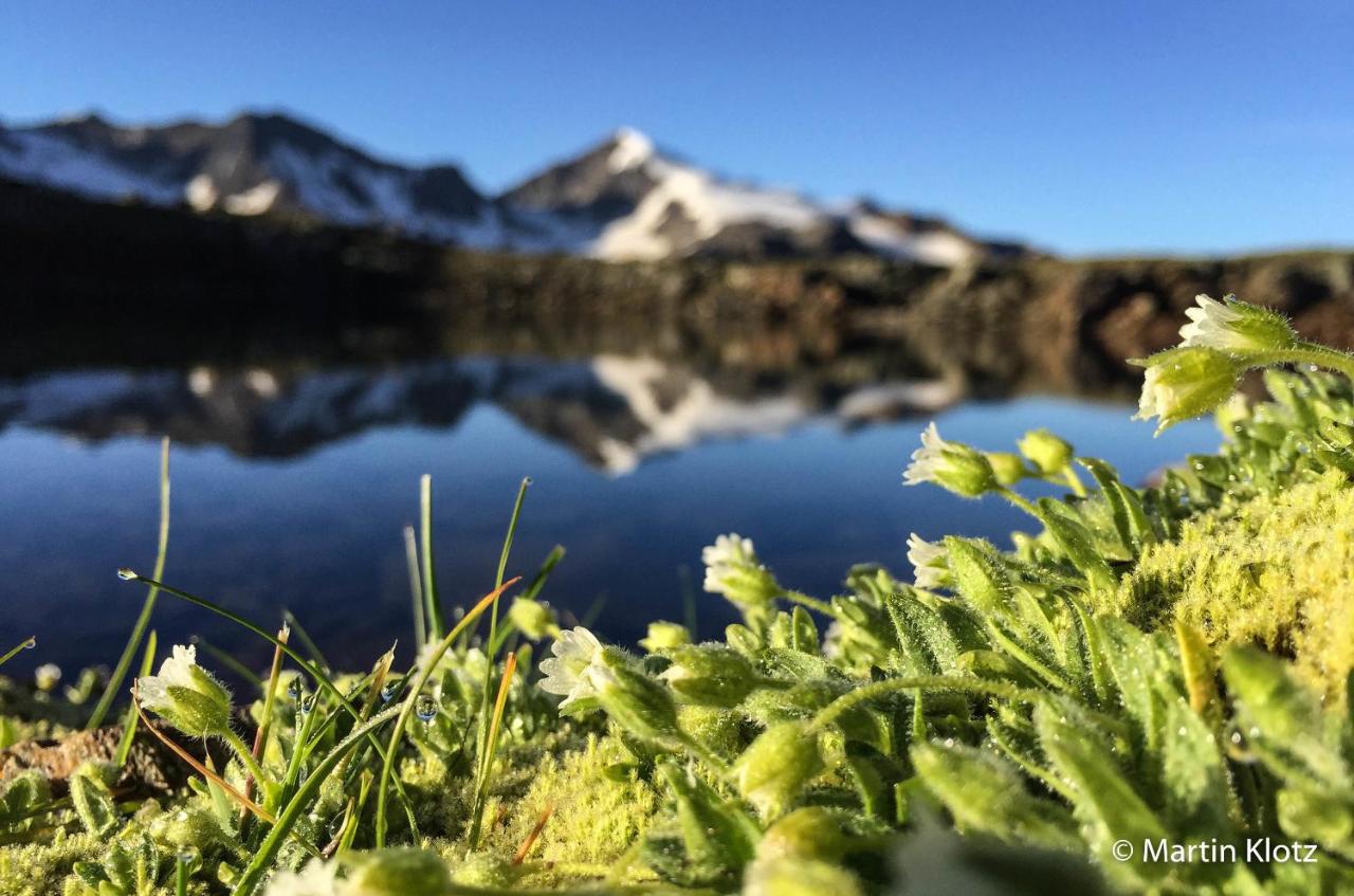 Apartamento Confort de 2 dormitorios