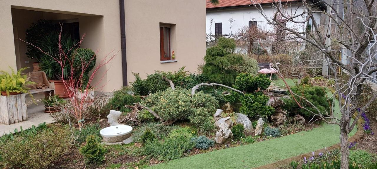 B&B Vegan La Mucca felice - Grazioso appartamento nel verde - Bed and Breakfast